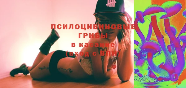 дурь Ельня