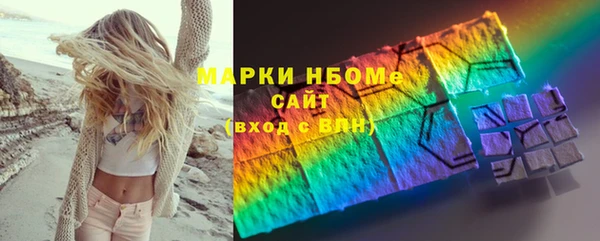 дурь Ельня