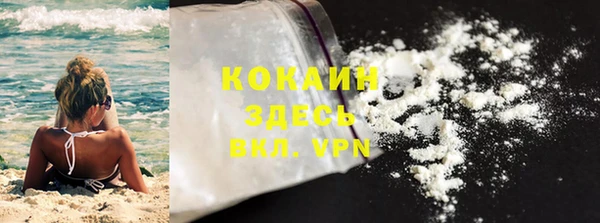 дурь Ельня