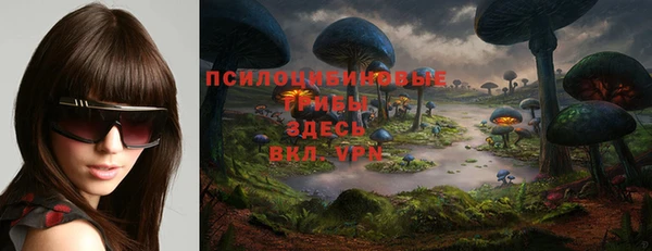 дурь Ельня