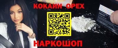 гидра Дубна