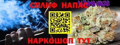 гидра Дубна