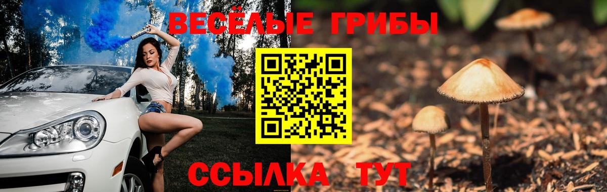 Псилоцибиновые грибы мицелий  где продают   Сердобск  Псилоцибиновые грибы прущие грибы 