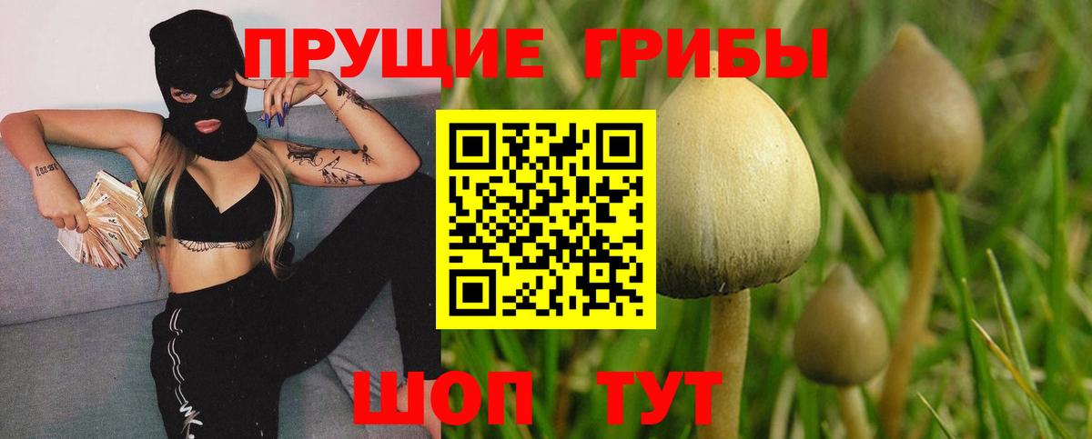 Галлюциногенные грибы Magic Shrooms Сердобск